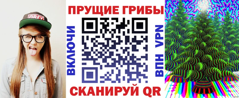Псилоцибиновые грибы Cubensis  купить  сайты  MEGA зеркало  Волжский 